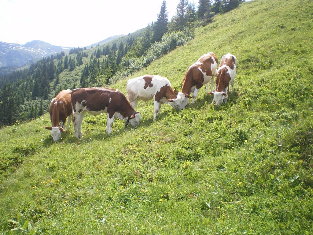 Вилла Biobauernhof Aslgut Бад Хофгаштайн Экстерьер фото